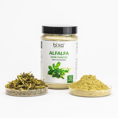 Alfalfa Herb Powder Medicago Sativa