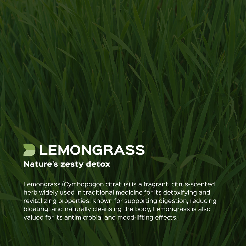 Food To Live Dried Lemongrass Leaves - 2oz Cut Lemon Grass Herb For Cooking & Tea