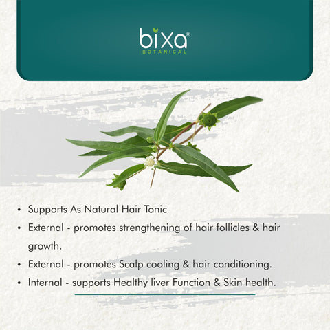 Bhringaraj Powder Eclipta Alba