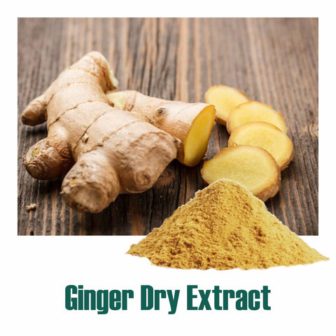 Ginger (Zingiber Officinale) Dry Extract - 5% Gingerols by UV