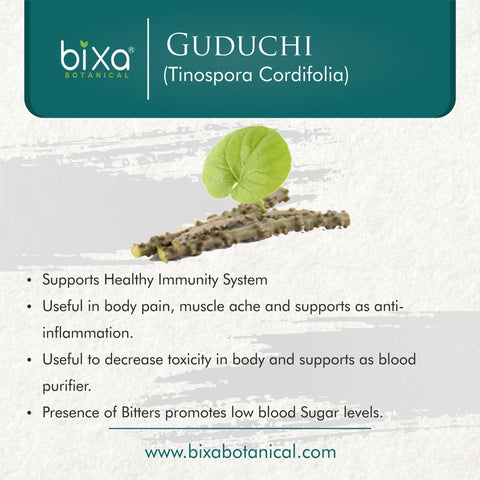 Giloy Powder ( Guduchi )  Tinospora Cordifolia
