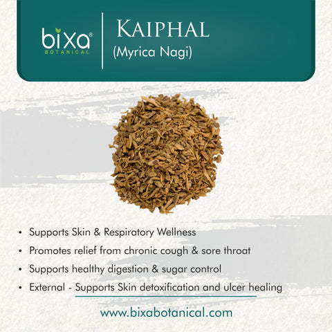 Kaiphal Powder  Myrica Nagi