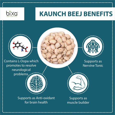 Kaunch beej Powder Mucuna Pruriens