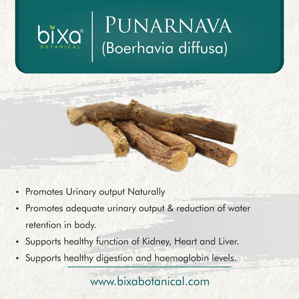 Punarnava Root Powder Boerhavia Diffusa