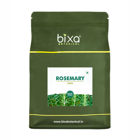 Rosemary Dry Leaves | Top Grade Quality From Egypt | For Cooking Seasoning | Supports Hair Growth