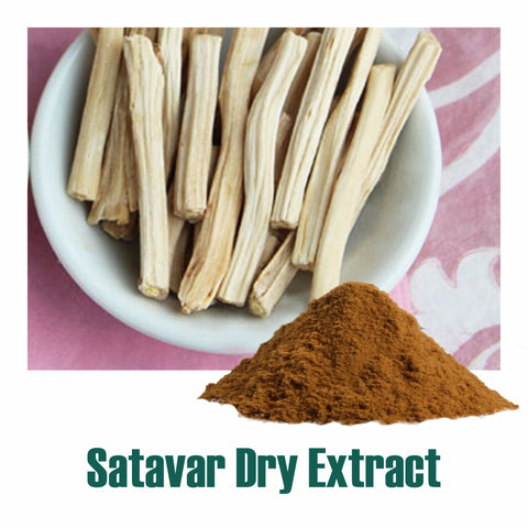 Shatavari (Asparagus Racemosus) dry Extract - 40% Saponnins by Gravimetry