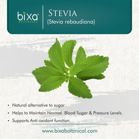 Stevia Leaves Powder  Stevia rebaudiana