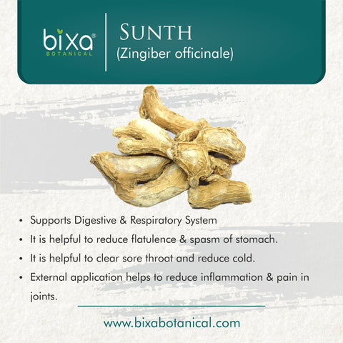 Ginger Powder | Sunth | Zingiber officinale