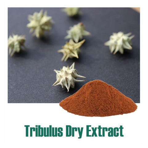 Tribulus (Tribulus Terresteris) Dry Extract - 40% Saponins by Gravimetry