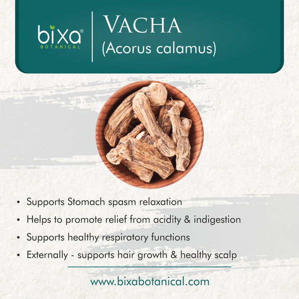 Vacha Root Powder Acorus Calamus