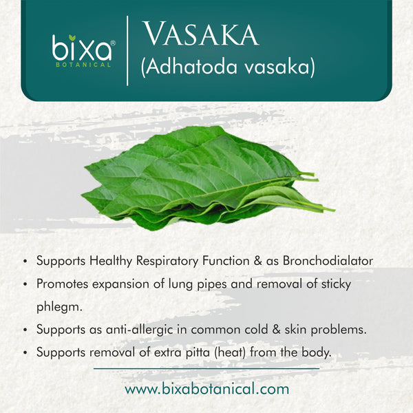 Vasaka / Vasa Leaves Powder Adhatoda Vasaka