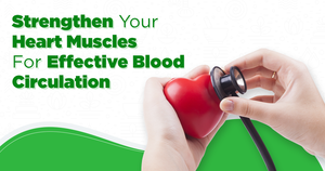 Strengthen Your Heart Muscles For Effective Blood Circulation