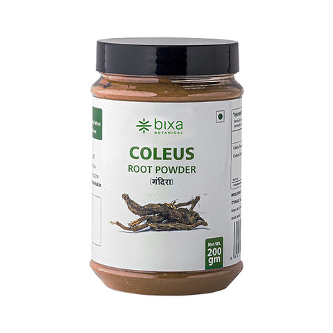 Coleus / Gandira Root Powder Coleus Forskohlii
