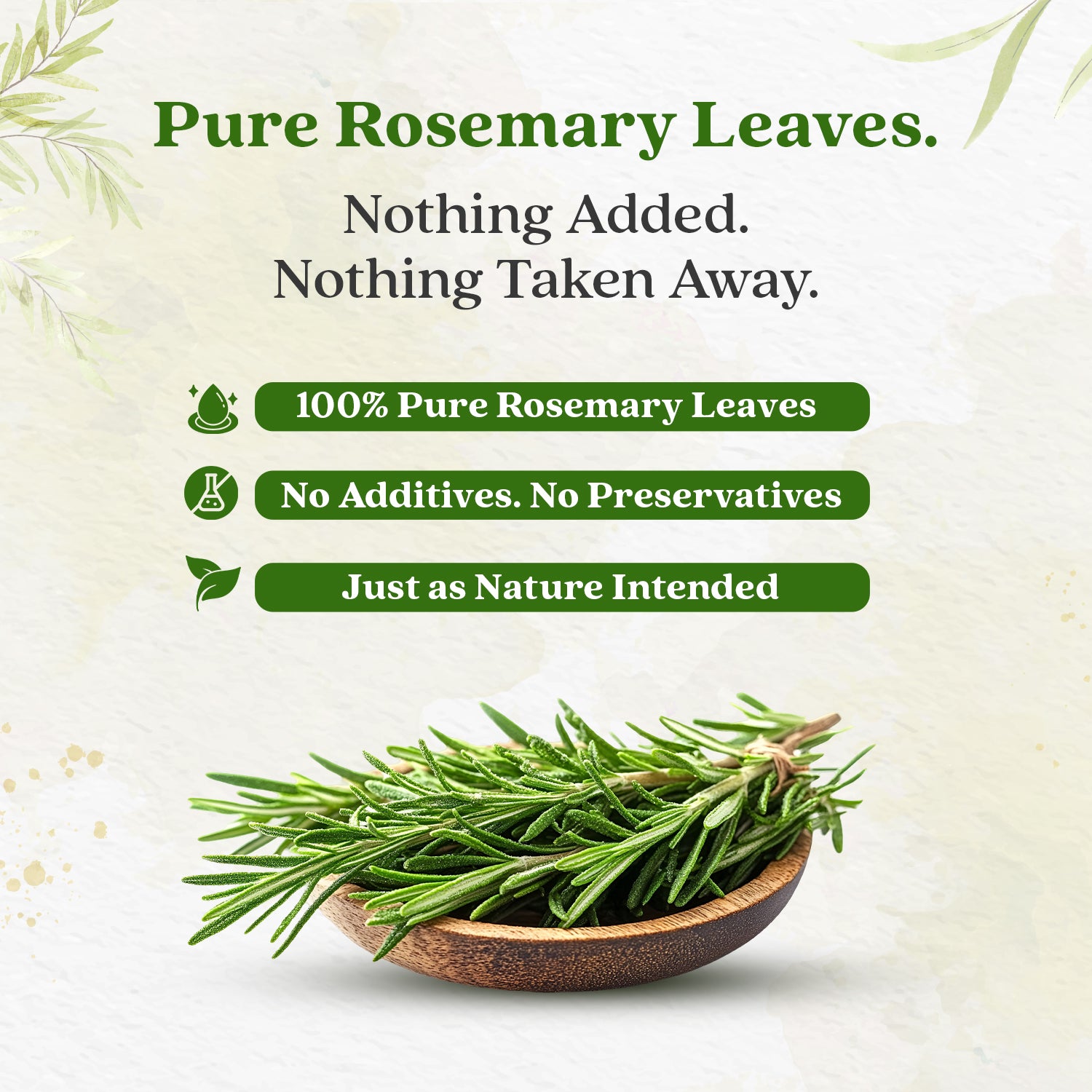 Rosemary Dry Leaves | Top Grade Quality From Egypt | For Cooking Seasoning | Supports Hair Growth