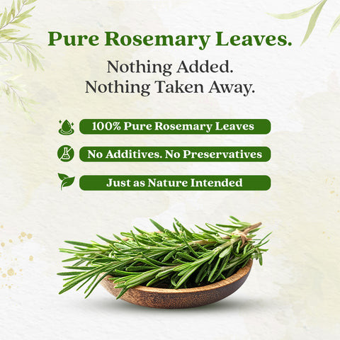 Rosemary Dry Leaves | Top Grade Quality From Egypt | For Cooking Seasoning | Supports Hair Growth
