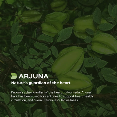 Arjuna Extract 60 Veg Capsules (450mg) 40% Tannins