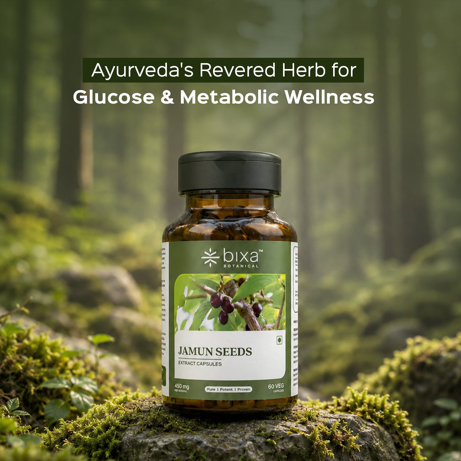 Jamun Extract 60 Veg Capsules (450mg) 5% Bitters