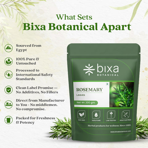 Rosemary Dry Leaves | Top Grade Quality From Egypt | For Cooking Seasoning | Supports Hair Growth