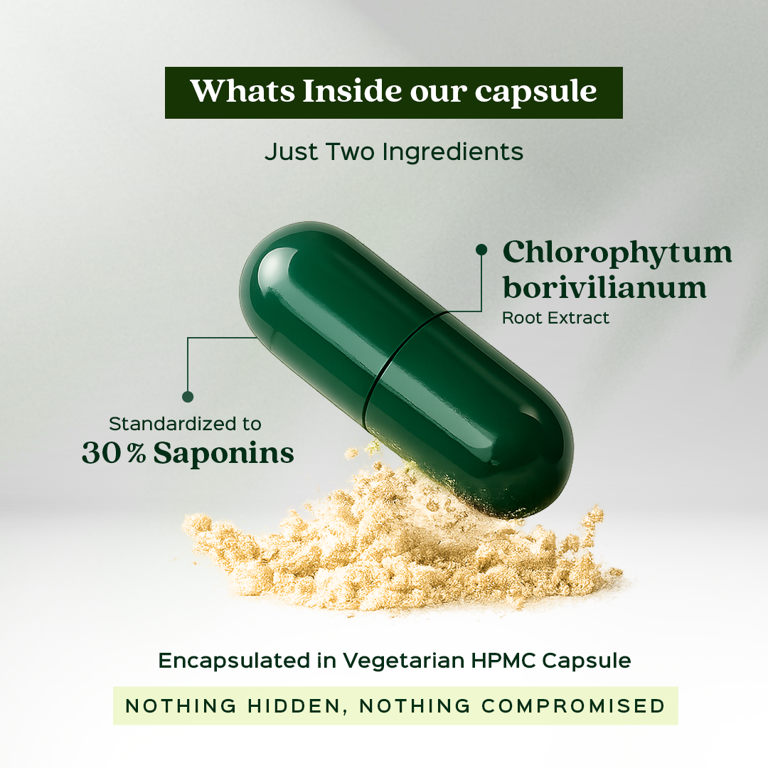 Safed Musli Extract 60 Veg Capsules (450mg) 30% Saponin