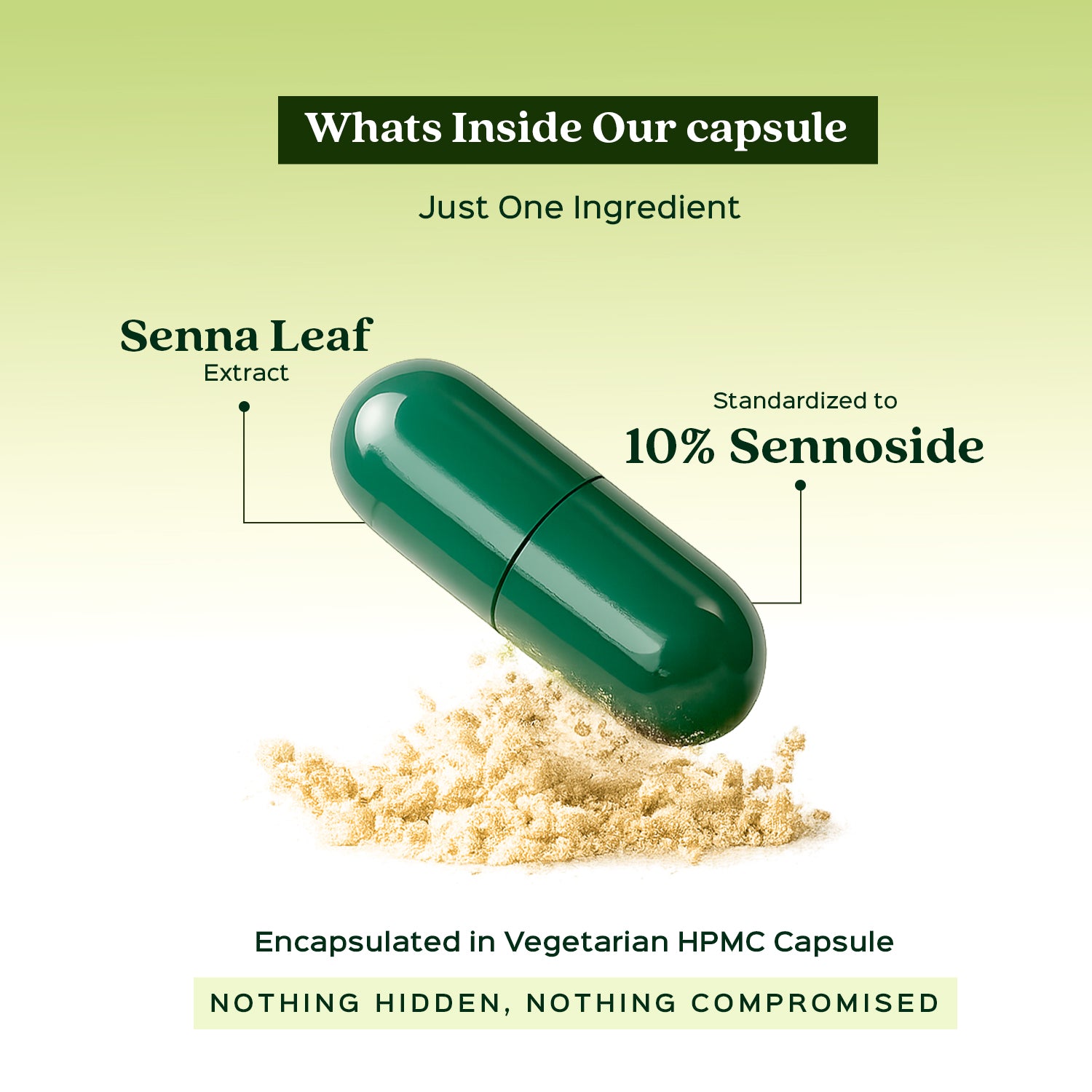 Indian Senna Extract 60 Veg Capsules (450mg) 20% Sennoside