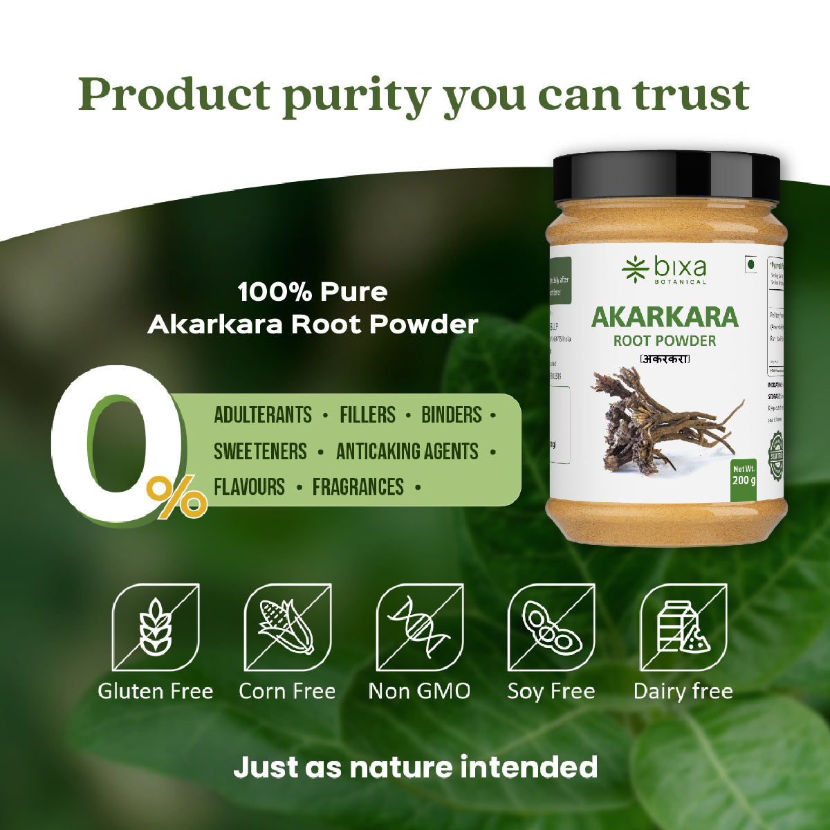 Akarkara Root Powder  ( Anacyclus Pyrethrum, Pellitory )