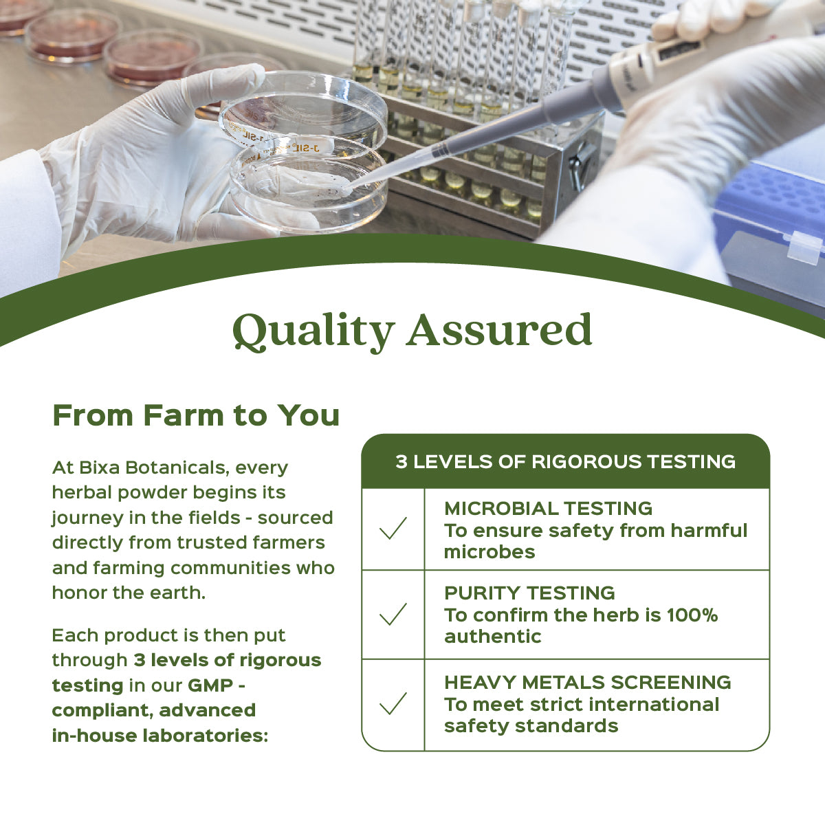 Akarkara Root Powder  ( Anacyclus Pyrethrum, Pellitory )