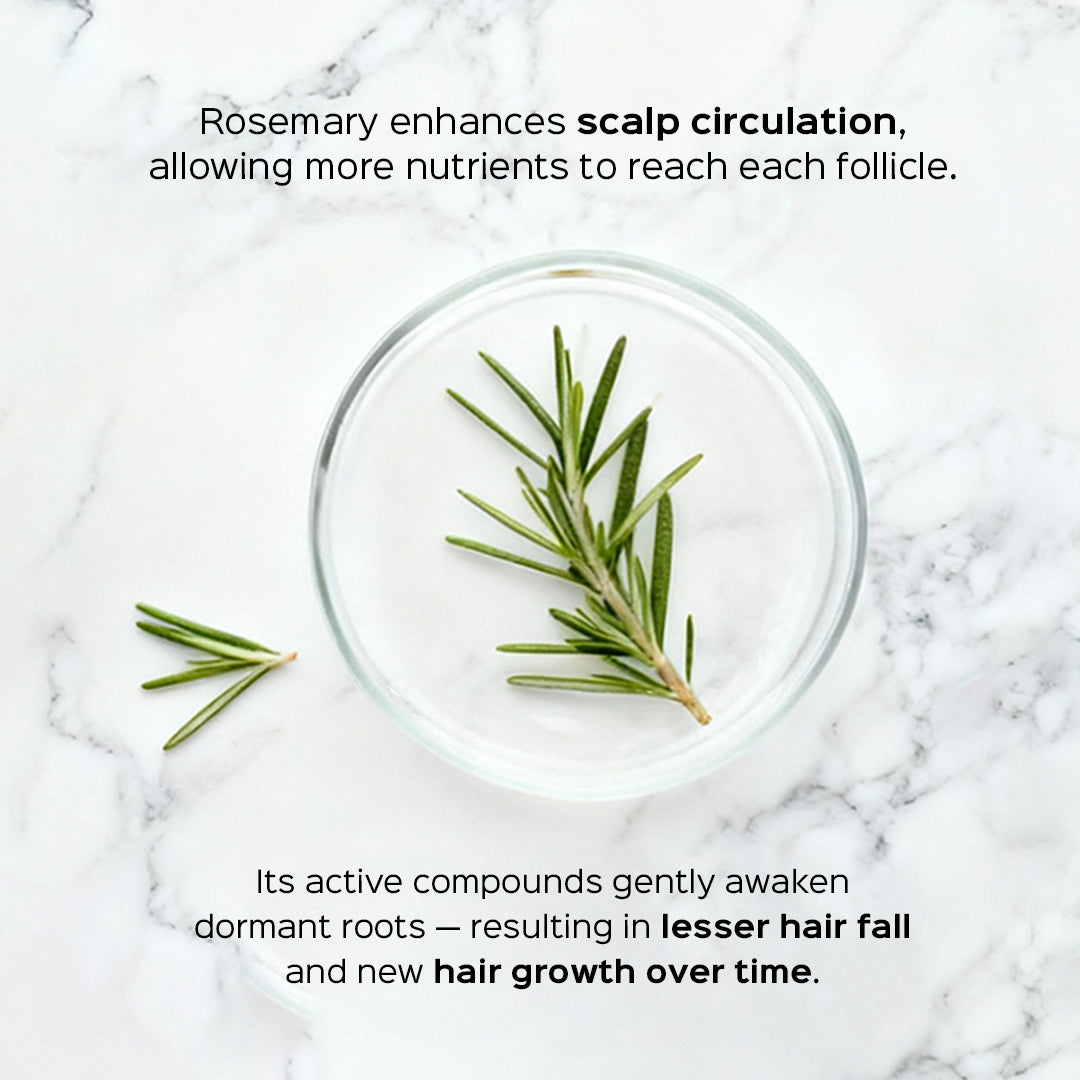 Rosemary Hair Care Kit