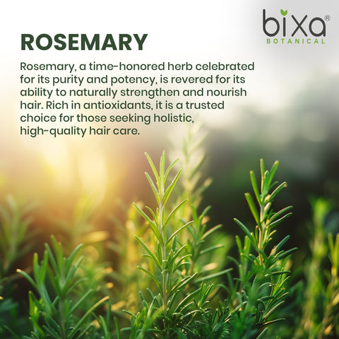 Rosemary Essential Oil For Hair Growth | 100% Pure | 20 ML