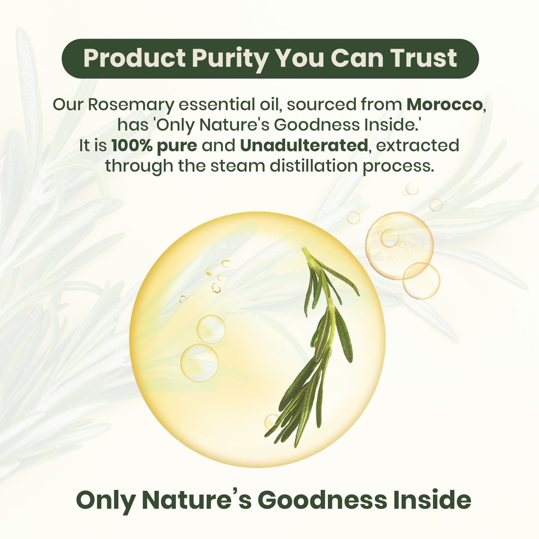 Rosemary Essential Oil For Hair Growth | 100% Pure | Top Grade Imported Quality