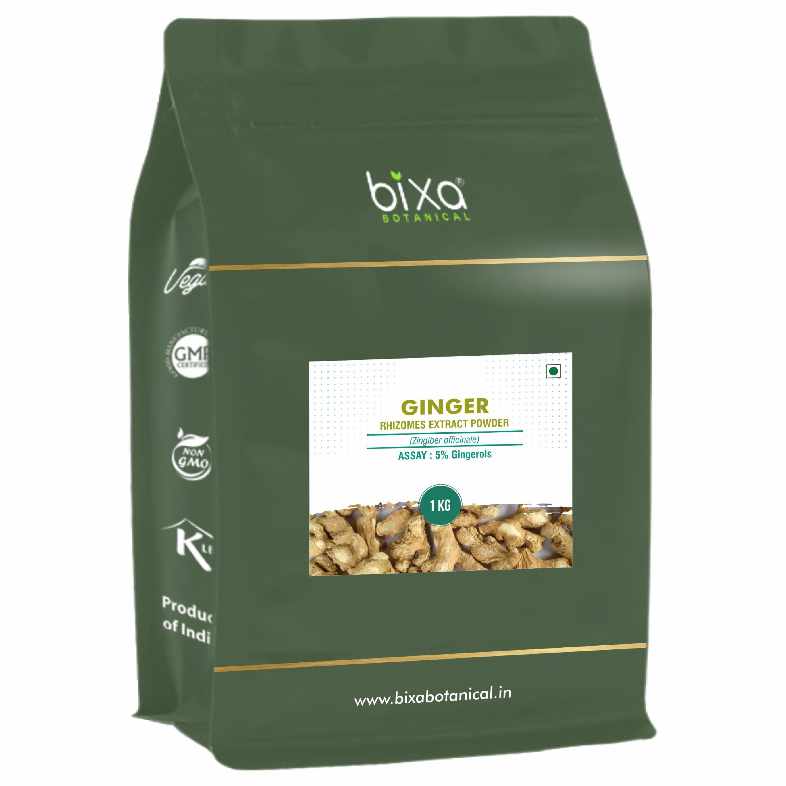 Ginger (Zingiber Officinale) Dry Extract - 5% Gingerols by UV