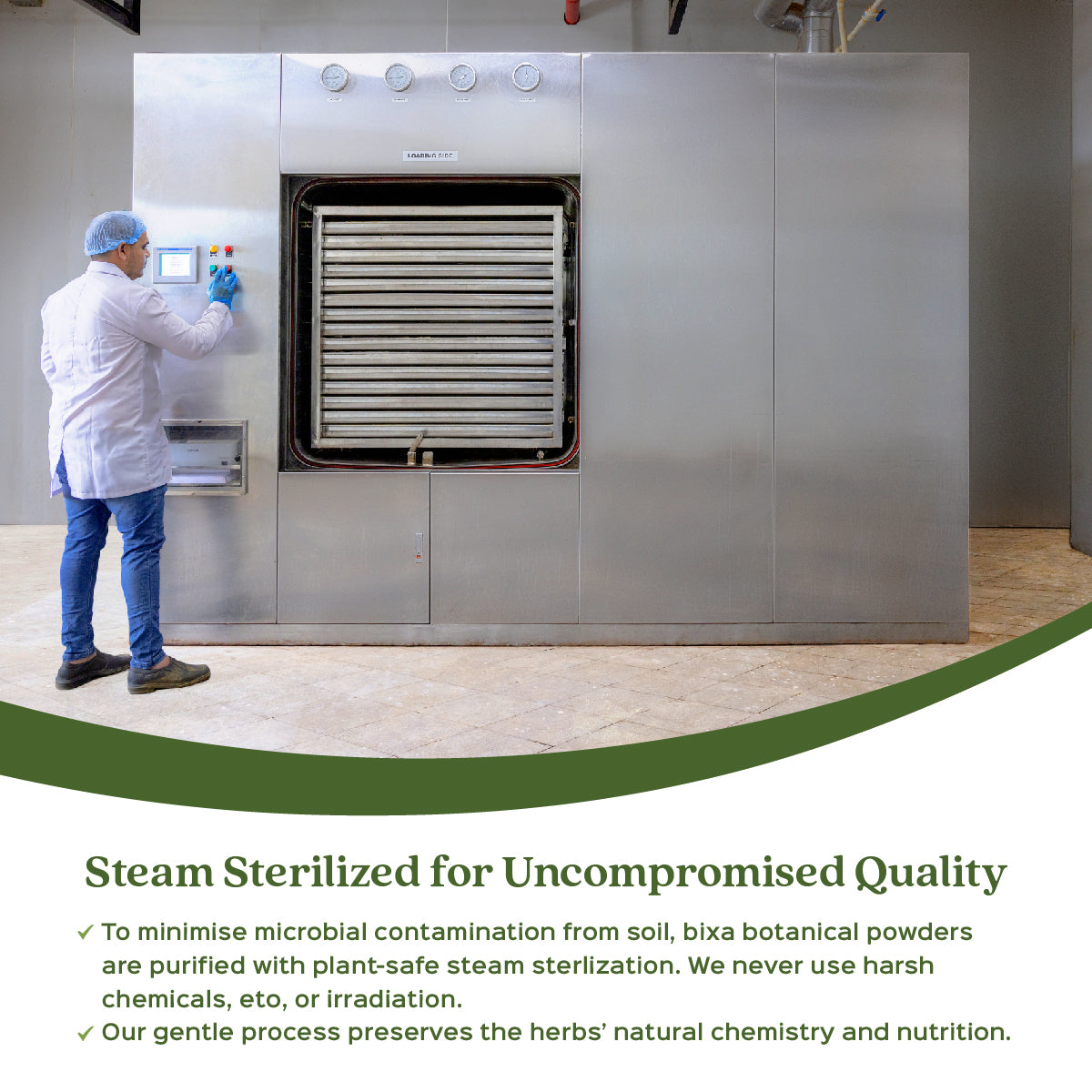 Stevia Leaves Powder  Stevia Rebaudiana