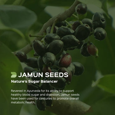 Jamun Seed Powder  Eugenia Jambolana