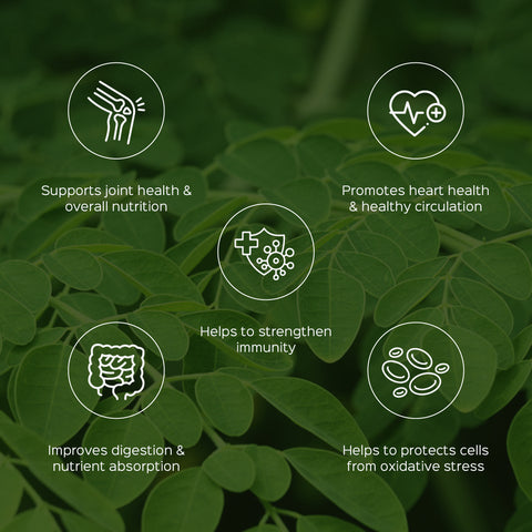 Moringa/ Shigru Leaves Powder  Moringa Oleifera