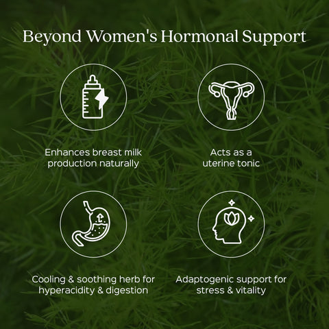 Shatavari Root Powder  Asparagus Racemosus