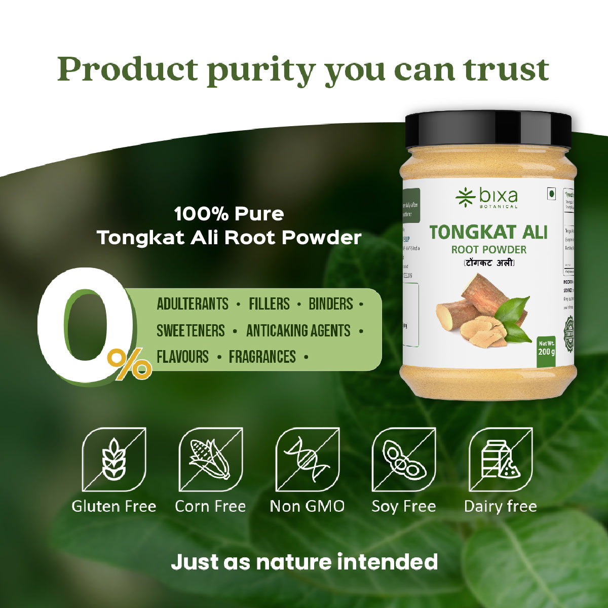 Tongkat ali Root Powder  Eurycoma longifolia