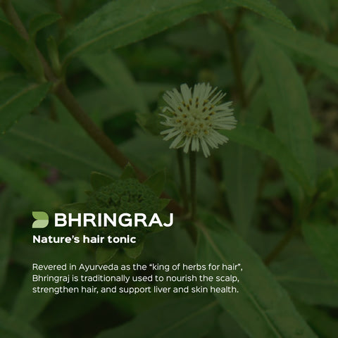 Bhringaraj Powder Eclipta Alba