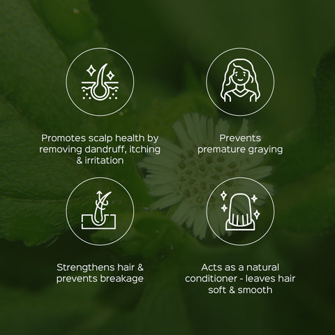 Bhringaraj Powder Eclipta Alba