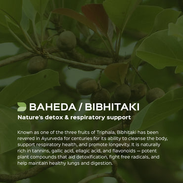 Baheda / Bibhitak Powder Terminalia Belerica