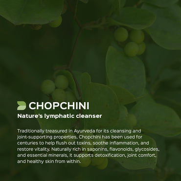 Chopchini Root Powder  Smilax China