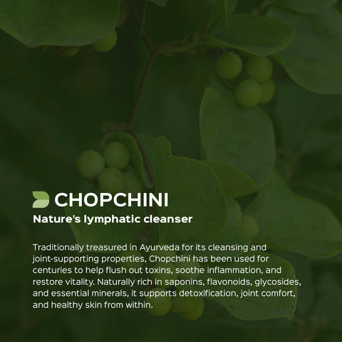 Chopchini Root Powder  Smilax China