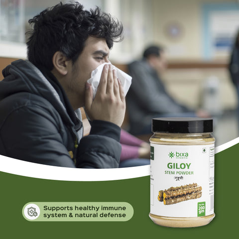 Giloy Powder ( Guduchi )  Tinospora Cordifolia