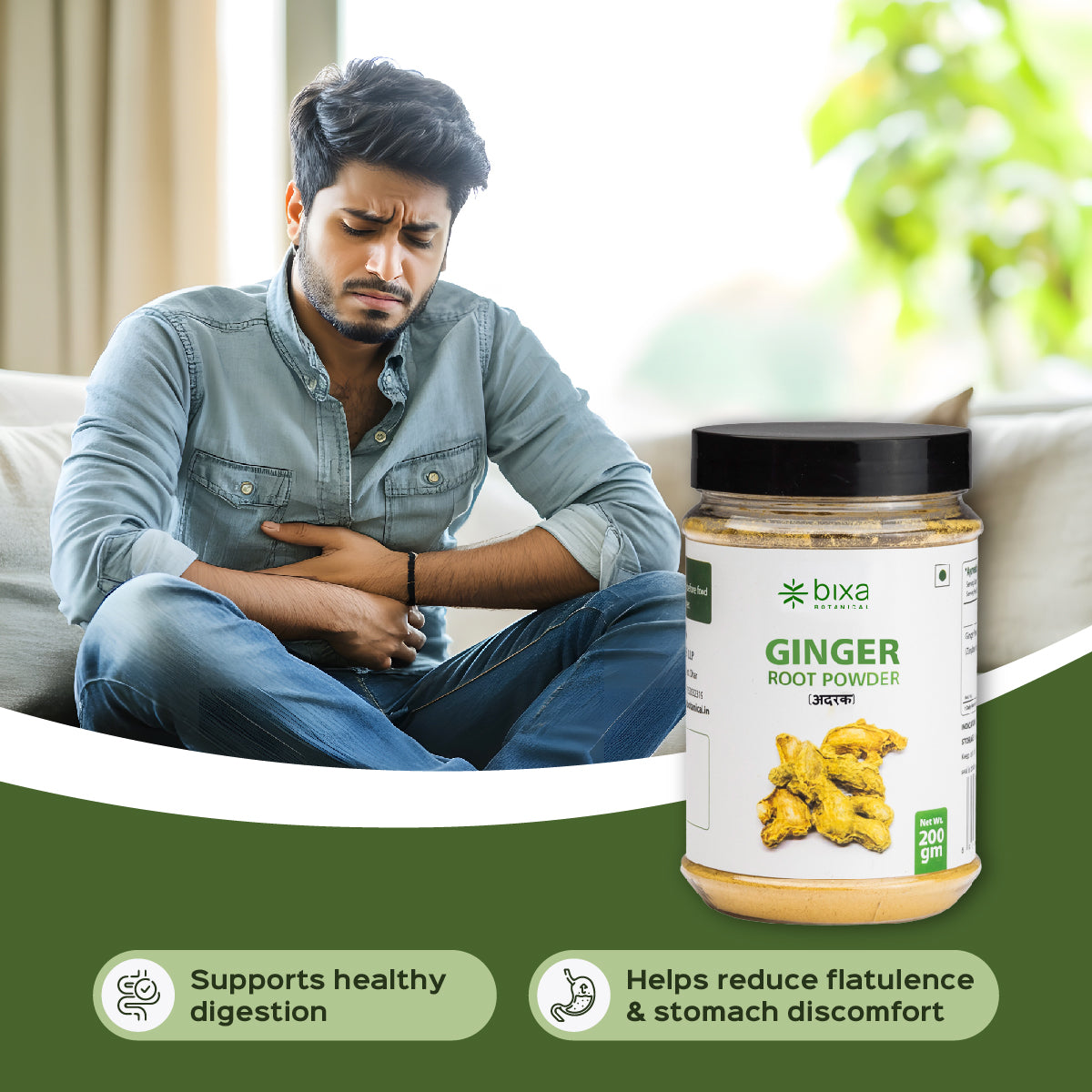 Ginger Powder | Sunth | Zingiber officinale