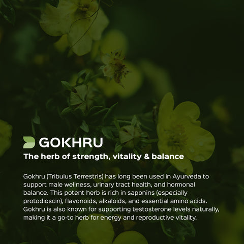 Gokhru / Gokshura Powder  Tribulus Terresteris