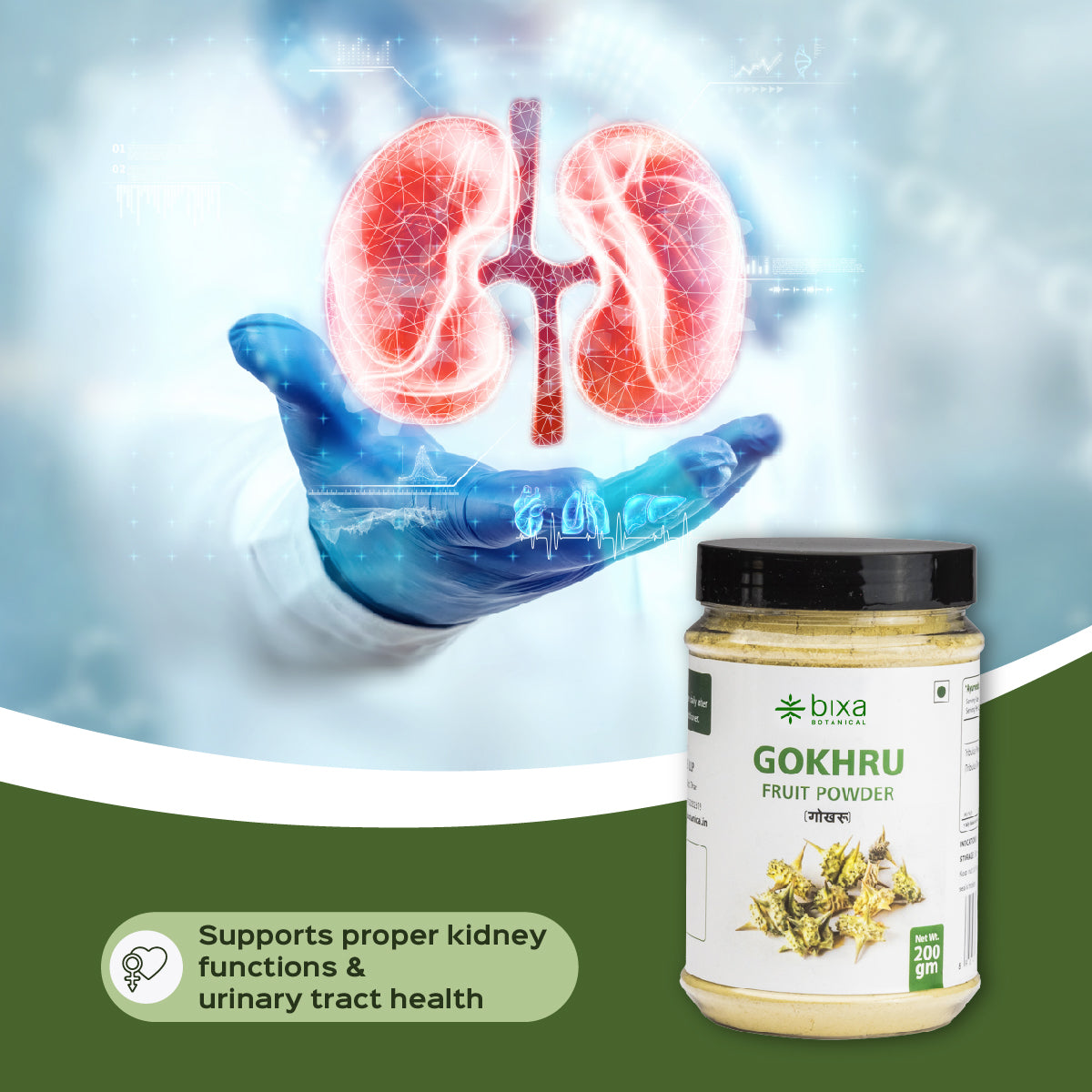 Gokhru / Gokshura Powder  Tribulus Terresteris