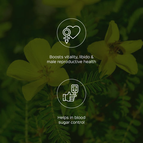 Gokhru / Gokshura Powder  Tribulus Terresteris