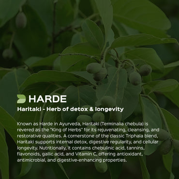 Harde / Haritaki Powder Terminalia Chebula