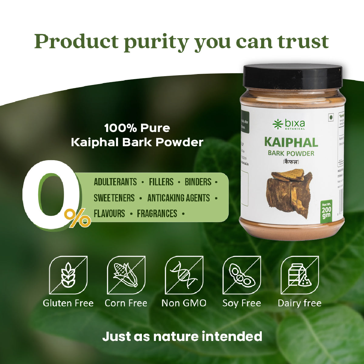 Kaiphal Powder  Myrica Nagi