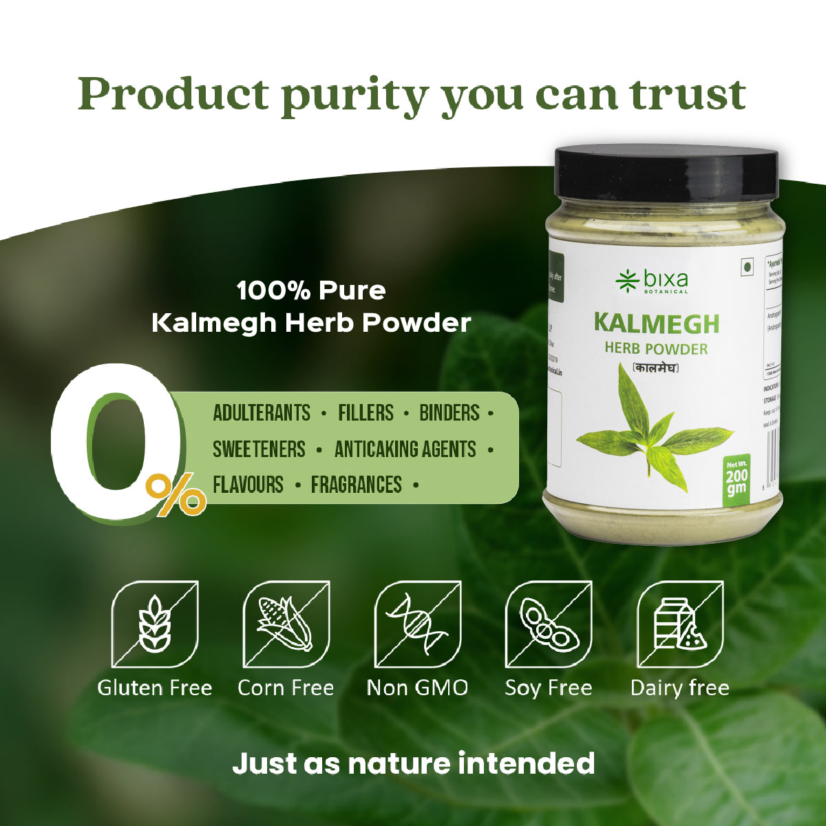 Kalmegh Herb Powder  Andrographis Paniculata