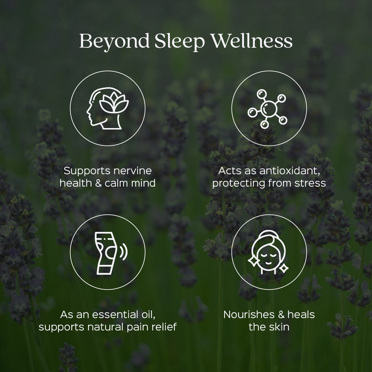 Lavender Flower Powder  Lavandula Augustifolia