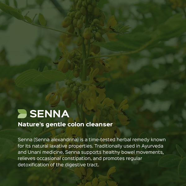 Senna Leaves Powder  (Cassia angustifolia)